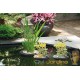 Lot de 4 Paniers flottants 22 cm de diamètre pour plantes de bassins de jardin et étangs
