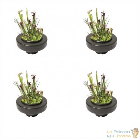 Lot de 4 Paniers flottants 22 cm de diamètre pour plantes de bassins de jardin et étangs