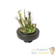 Lot de 4 Paniers flottants 22 cm de diamètre pour plantes de bassins de jardin et étangs