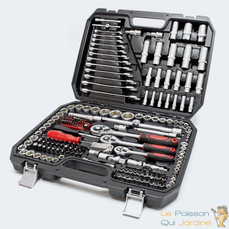 Coffret Complet 40 Pièces d'Embouts d'Outils Torx, XZN et Allen en Acier -  Le Poisson Qui Jardine