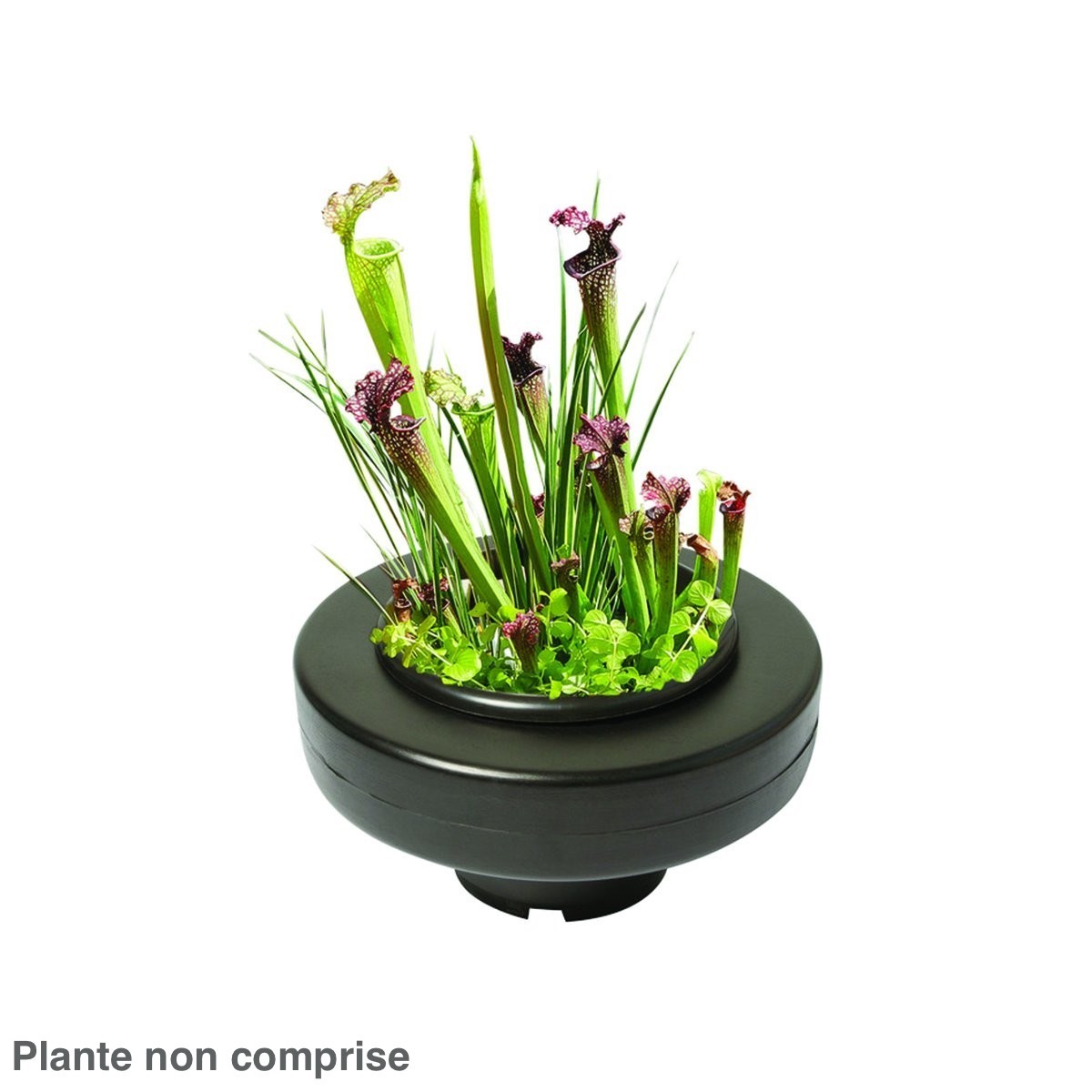 Panier flottant 30 cm de diamètre pour plantes de bassins de jardin et étangs