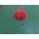 Anémone orange medium décoration aquariums