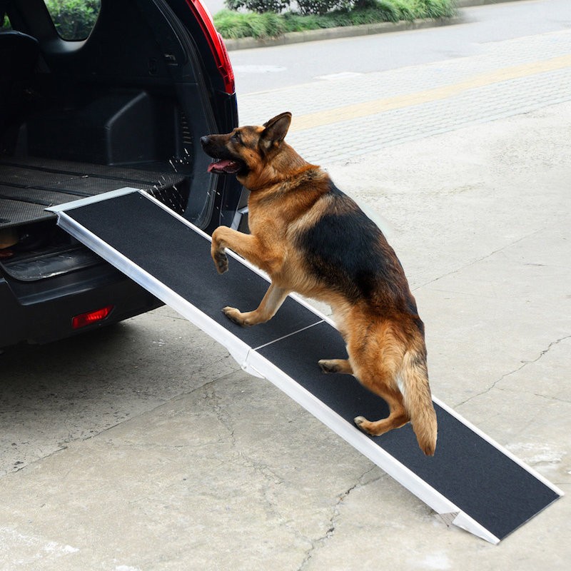 Rampe De Marche Pour Animaux, Vélo, Machines Outil Sur Roulettes.183cm