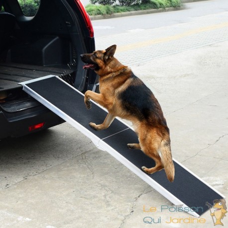 La rampe d'accès au coffre de voiture pour chien