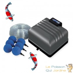 Kit Pompe À Air 1200 l/h, Pour Bassins De Jardin Et Étangs De 2000 L