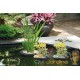 Lot de 2 Paniers flottants 22 cm de diamètre pour plantes de bassins de jardin et étangs