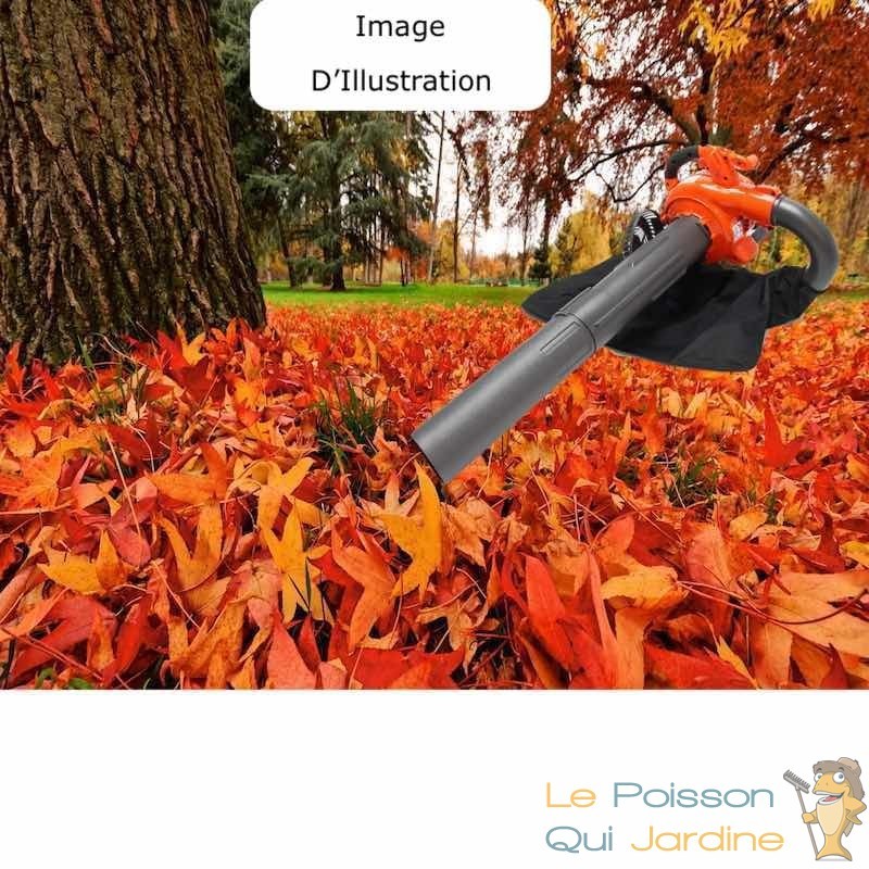 Idéal pour l'automne, ce souffleur à feuilles sans fil est proposé à un  prix à peine croyable - Le Parisien