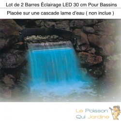 Eclairage jet d'eau led bleu sur