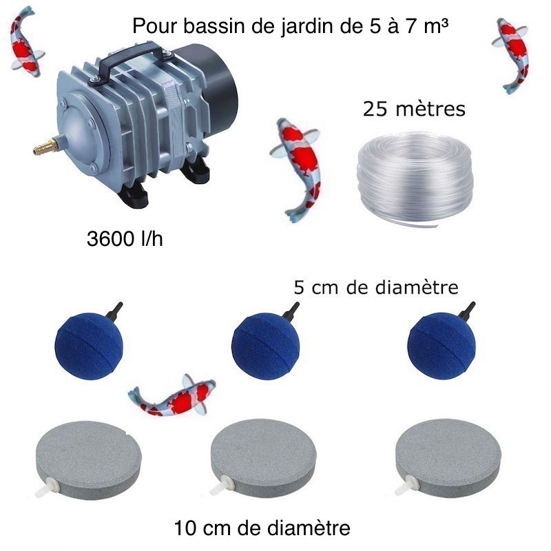 Set aération bassin 3600 l/h 3 Disques 10 cm + 3 boules de 5 à 7 m³