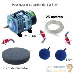 Set aerateur bassin 2 boules diffuseurs + 1 disque 8 cm Bassin De Jardin De 1000 À 3000 Litres