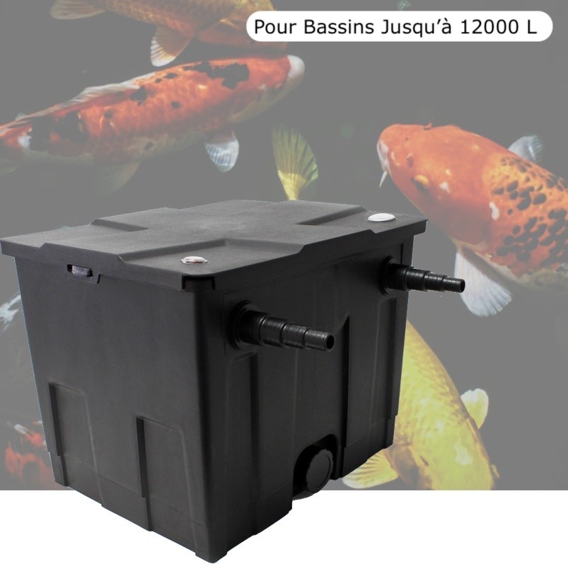 Choisir des Poissons pour le Bassin