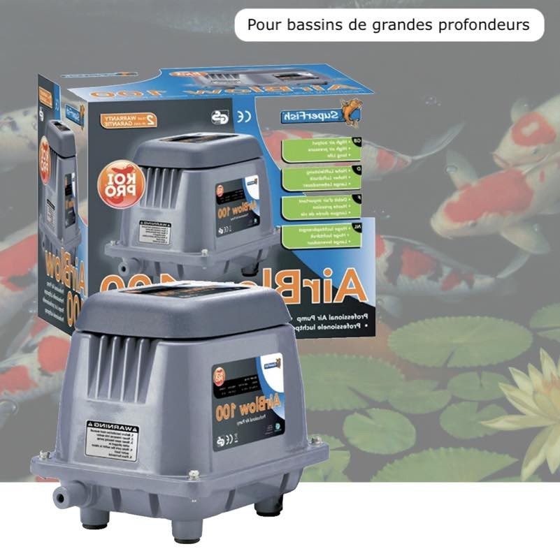 Aérateur Bassin Grande Profondeur 3000 l/h Pompe À Air Pour Bassins De Jardin Et Étangs