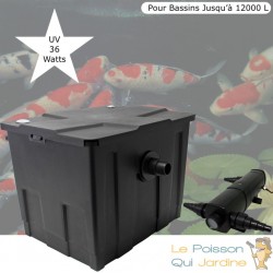 Filtre + UV 36W, Bassin De Jardin Jusqu'à 12000 Litres