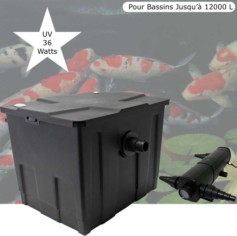 Filtre Bassin + Clarificateur UV Stérilisateur 36W, Bassin De Jardin Jusqu'à 12000 Litres