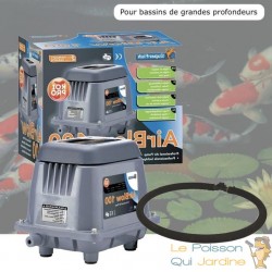 Kit Aérateur Bassin Grande Profondeur 3000 l/h Pompe À Air Pour Bassins De Jardin Et Étangs