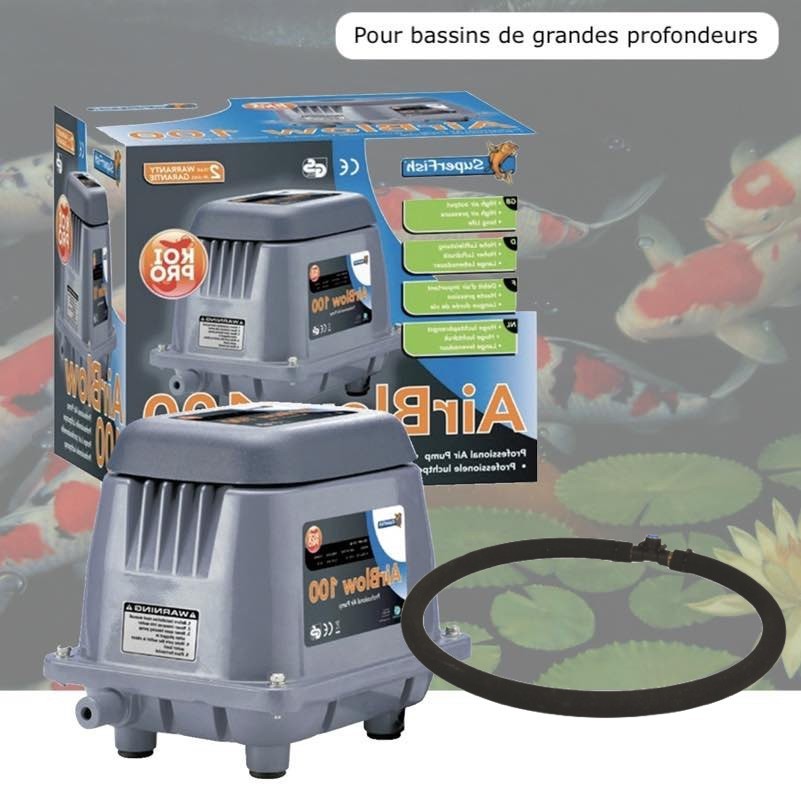 Kit Aérateur Bulleur Bassin Profond 3000 l/h + Diffuseur 35 cm. Pompe à air bassin avec accessoires