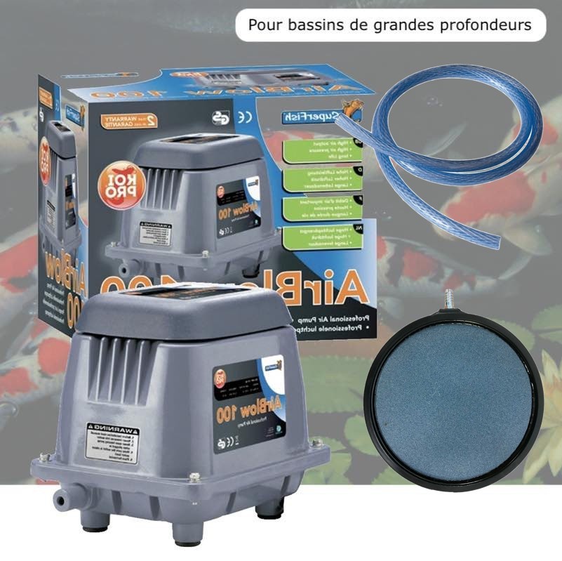 Kit Aérateur Pompe à Air Bassin Profond 3000 l/h + Diffuseur bulleur 20 cm et Tuyau