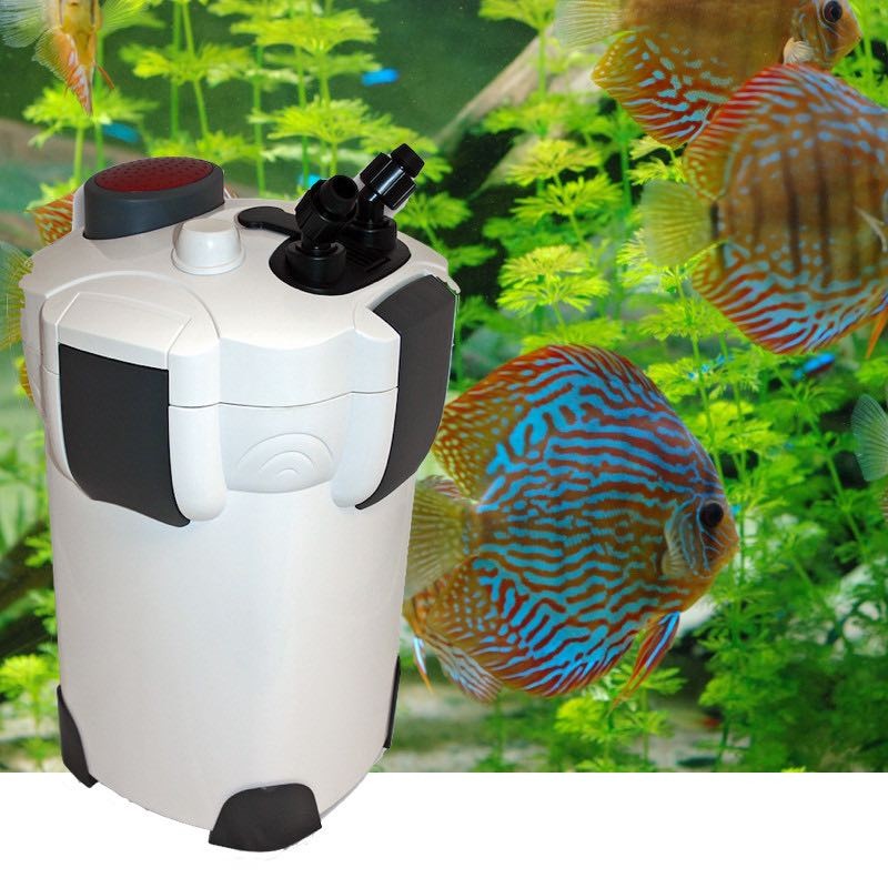 Filtre Externe 2000 l/h pour aquarium eau douce et eau de mer : Avec accessoires