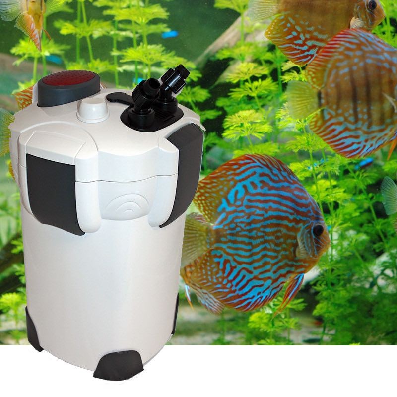 Filtre Externe 2000 l/h pour aquarium eau douce et eau de mer : Avec  accessoires - Le Poisson Qui Jardine