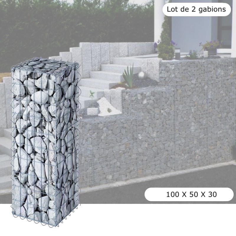 Lot De 2 Gabions En Métal Galvanisé - Robustes - Résistants - 100 x 50 x 30 cm