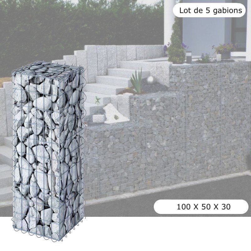 Lot De 5 Gabions En Métal Galvanisé - Robustes - Résistants - 100 x 50 x 30 cm