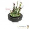 Panier Flottant 22 cm De Diamètre, Pour Plantes De Bassins De Jardin Et Étangs