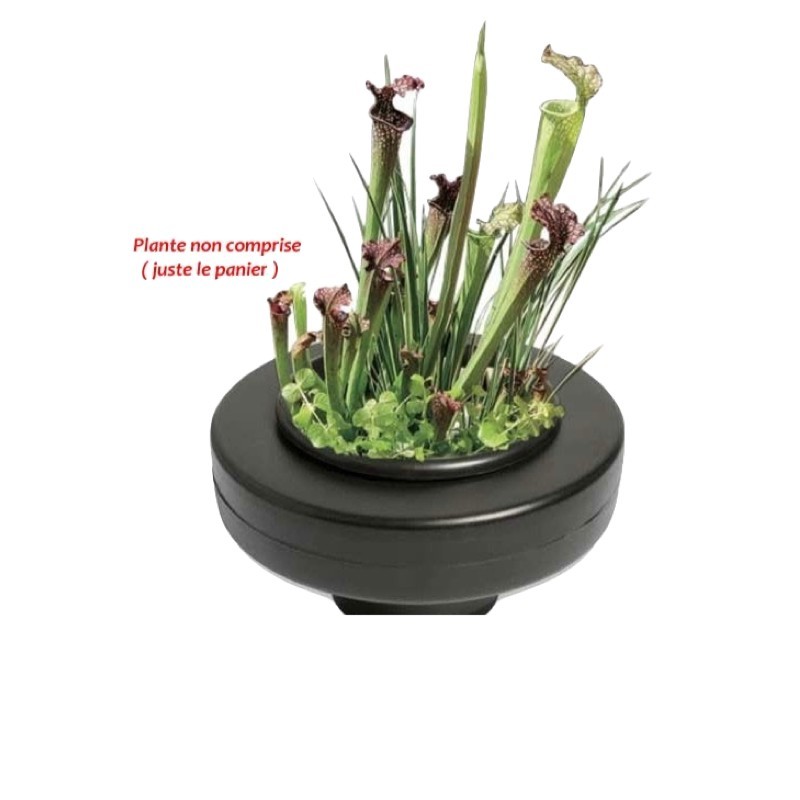 Panier Flottant 22 cm De Diamètre, Pour Plantes De Bassins De Jardin Et Étangs