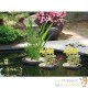 Panier flottant 22 cm de diamètre pour plantes de bassins de jardin et étangs