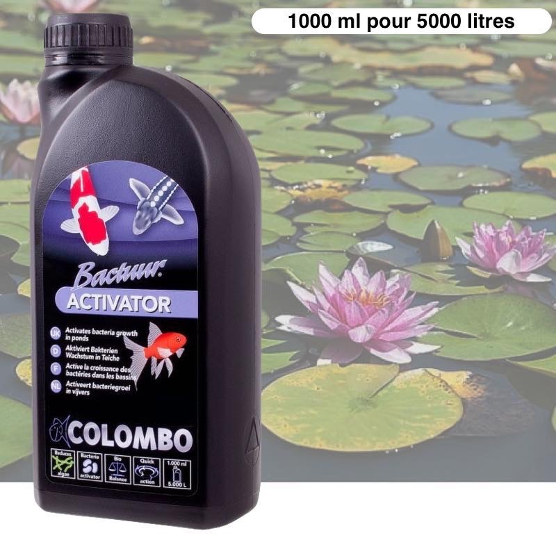 Activateur De Bactéries Bassins 1000ml Pour Bassins De Jardin de 5000 Litres