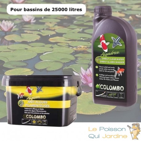 Pack contre l'eau verte des bassins de jardins 2 en 1