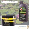 Pack contre l'eau verte des bassins de jardin. Pour 25 m3