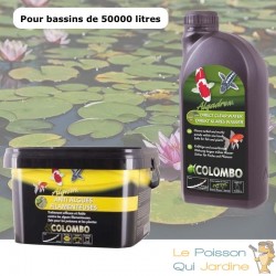 Pack contre l'eau verte des bassins de jardin. Pour 50 m3