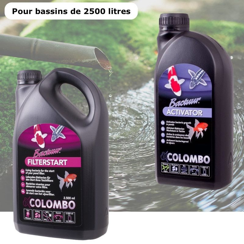 Pack Bactéries + Activateur pour bassins de jardin de 2500 litres