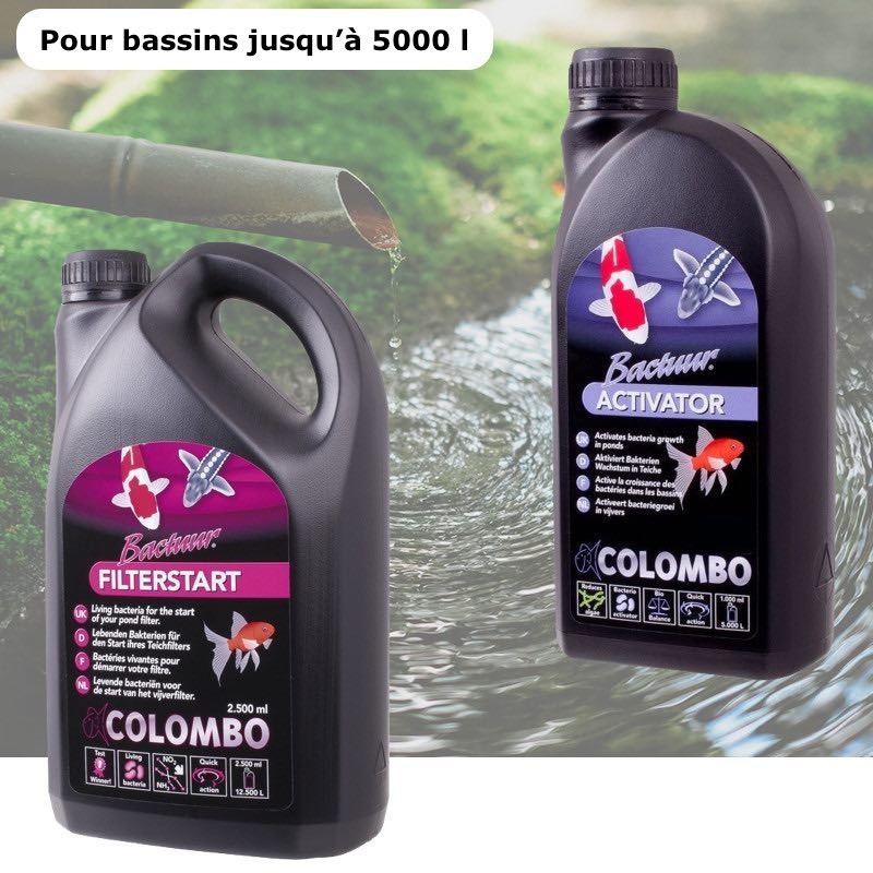 Pack Bactéries + Activateur pour bassins de jardin de 5000 litres