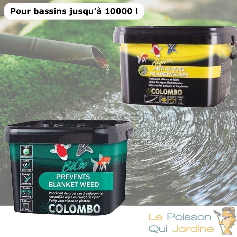 Anti-phosphates de Piscine 1L - Lutter contre les algues