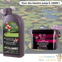 Pack anti eau verte et clarté optimale pour bassins de max. 10000 litres