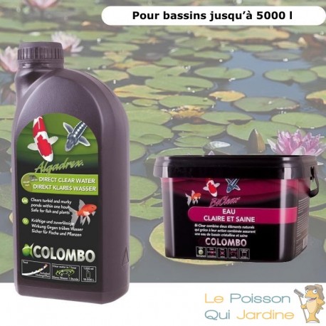 Pack anti eau verte et clarté optimale bassins de max. 5000 litres