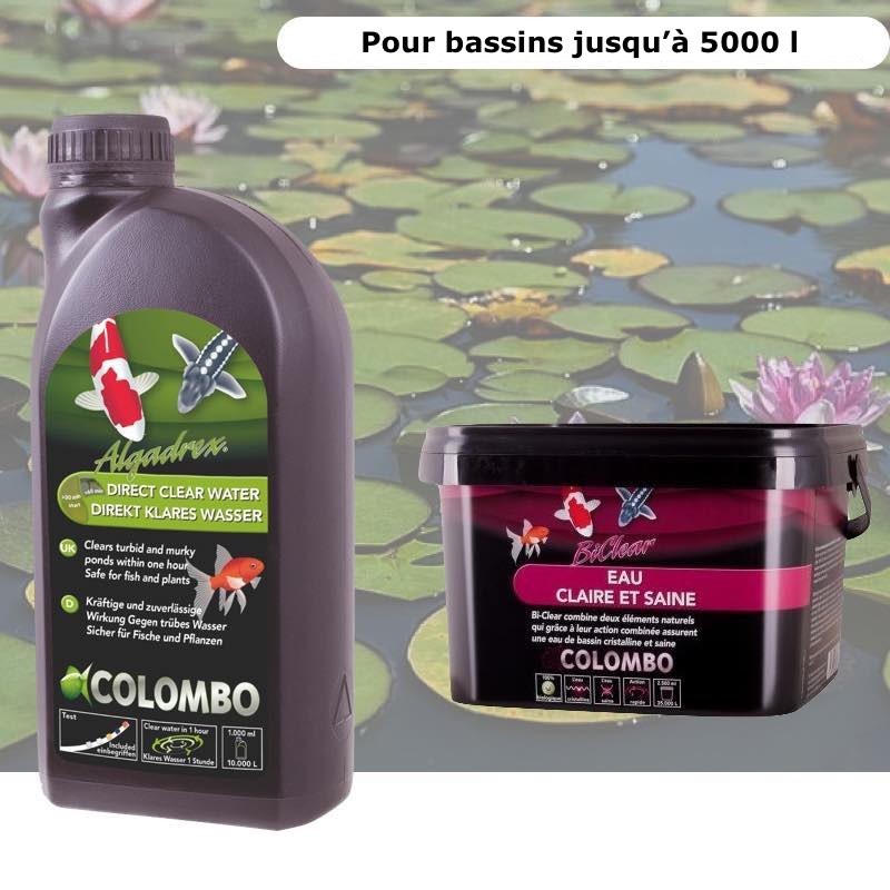 Pack anti eau verte bassin et clarté optimale bassins de jardin 5000 litres