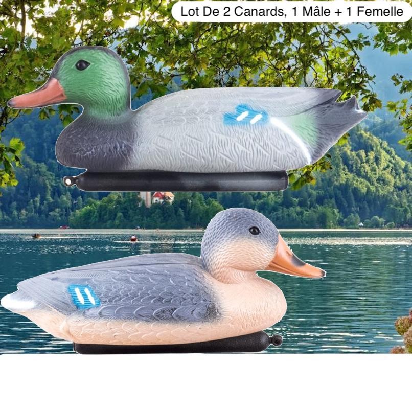 Lot De 2 Décorations De Bassin, 1 Mâle + 1 Femelle Canard, Artificiel