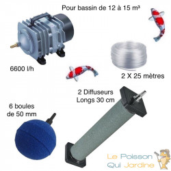 Set aération bassin de jardin 6 Boules + 2 diffuseurs 30 cm de 12000 à 15000 l