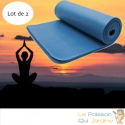 Lot de 2 : Tapis De Sport - Sol Bleu 185 X 80. Yoga, Pilates, Body Balance, Stretching, Abdominaux