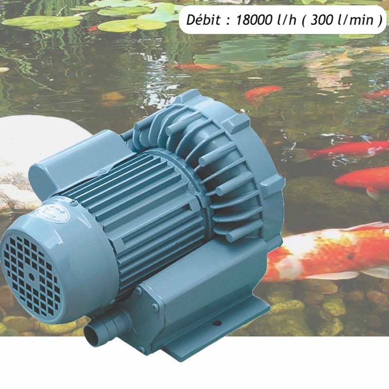 Pompe À Air Vortex Turbine 18000 l/h Pour Bassins De Jardin, Hydroponie