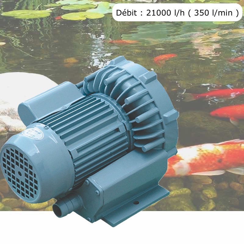 Pompe À Air Vortex Turbine 21000 l/h Pour Bassins De Jardin, Hydroponie