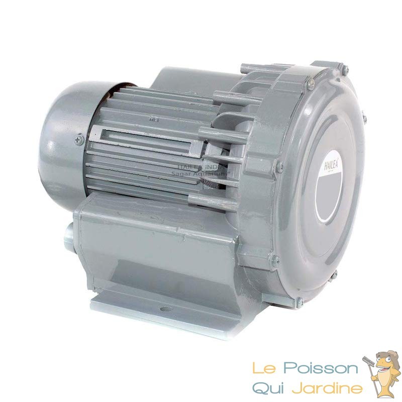 Pompe À Air Vortex Turbine 60000 l/h Pour Bassins De Jardin, Hydroponie -  Le Poisson Qui Jardine