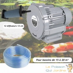 Kit Pompe À Air Bassin Vortex Turbine 15000 l/h + 12 diffuseurs 13 cm Pour Bassins De 15 à 20 m³