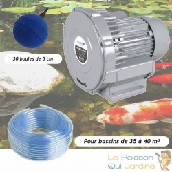 Kit Pompe À Air Vortex Turbine 38400 l/h + 30 Boules Pour Bassins De Jardin