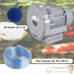 Kit Pompe À Air Vortex Turbine 79200 l/h + 40 Boules Pour Bassins De Jardin