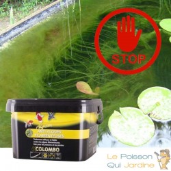 Anti-Algues Filamenteuses Bassin. Produit d'entretien 1000ml pour bassin de jardin et étangs