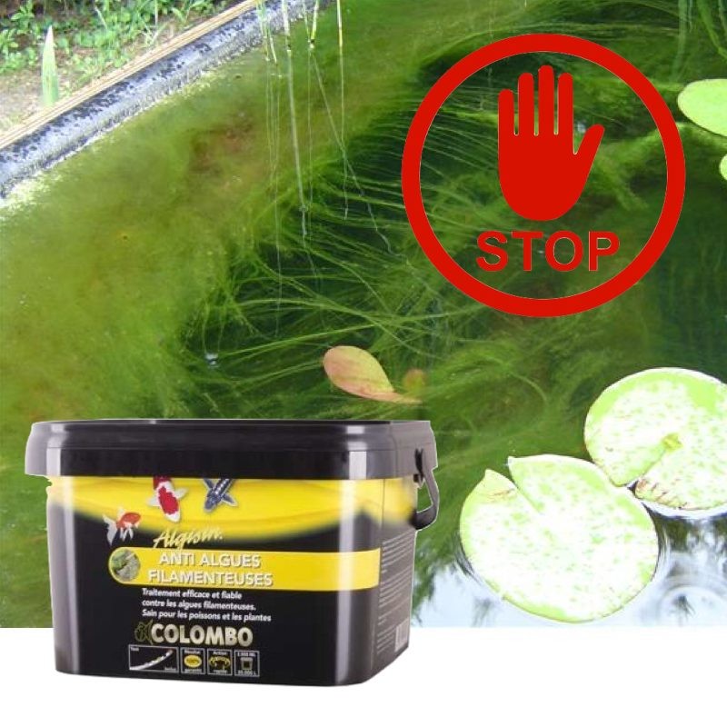 Anti-Algues Filamenteuses Bassin. Produit d'entretien 1000ml pour bassin de jardin et étangs