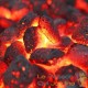 21 kg de charbon, de bois en briquet pour barbecue